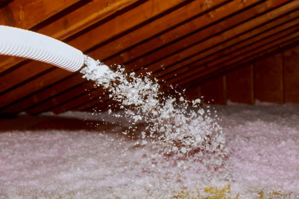 Best Insulation for Commercial Buildings  in Branford Center, CT